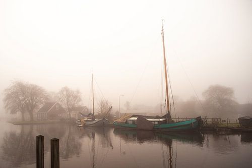 Mûrissement le matin