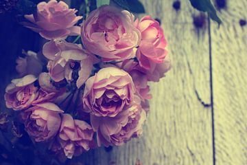 Vintage stijl mooie roze roos bloesem van Imladris Images