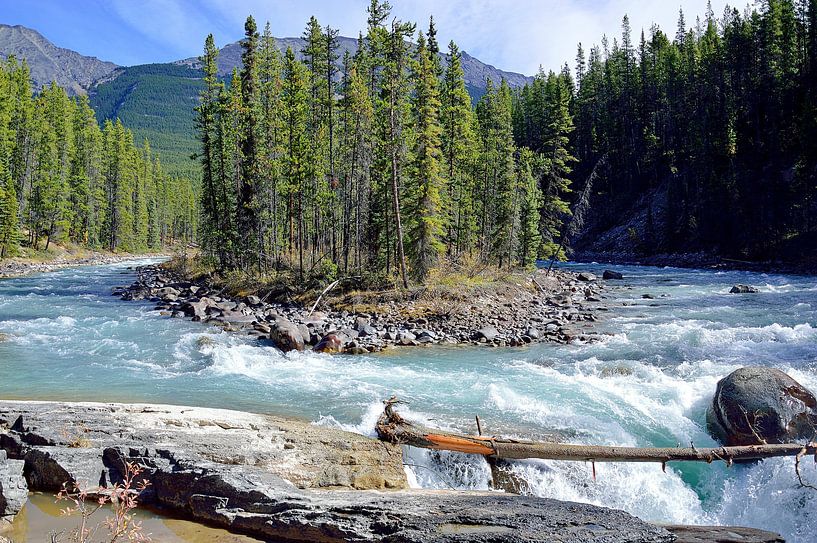 Sterk staan van Frank's Awesome Travels