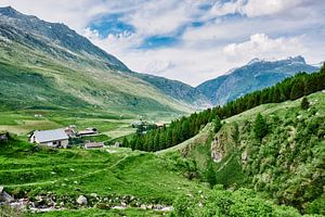 Schweizer Alpen im Sommer