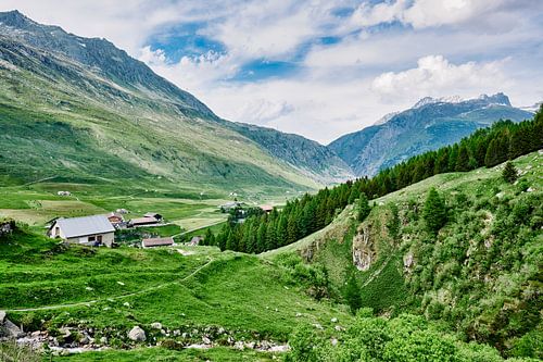 Schweizer Alpen im Sommer