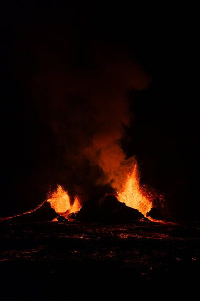 Twin Flames van Anouk Pross