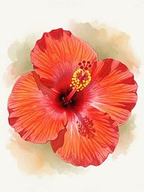Hibiscus Blossom Tropical Botanical Wall Art
