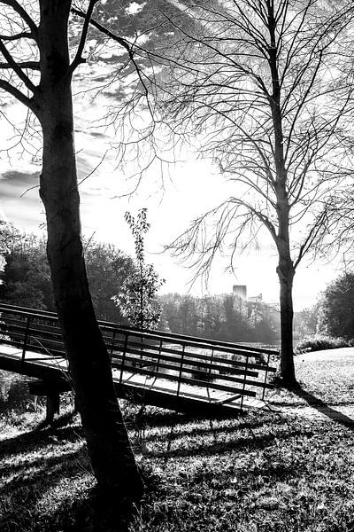 Het Haagse Bos. par Aukelien Philips
