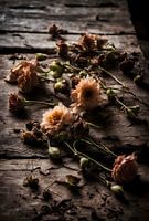 There is Beauty in Impermanence