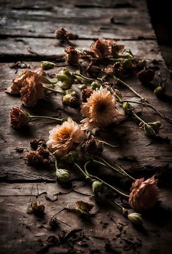 There is Beauty in Impermanence