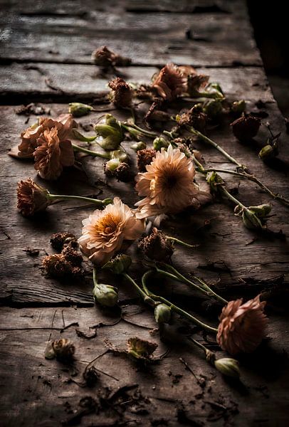 There is Beauty in Impermanence by Igniferae