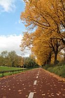 Herfst in Rotterdam