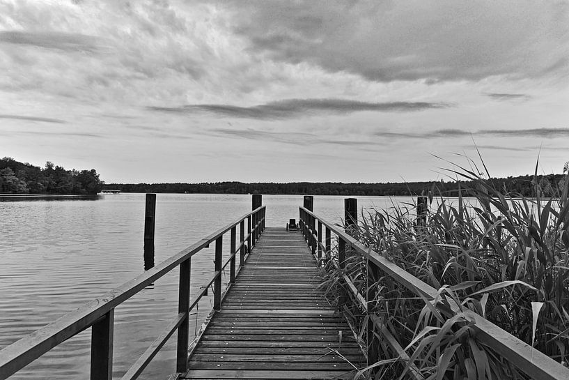Badesteg am Werbellinsee in Joachimsthal von Silva Wischeropp
