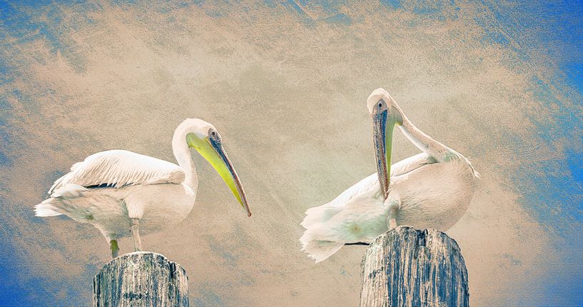 Pelikanen op een meerpaal, Namibië van Rietje Bulthuis