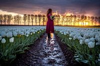 Tulpenmeisje