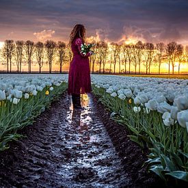 Tulpenmeisje van Angela Stouten