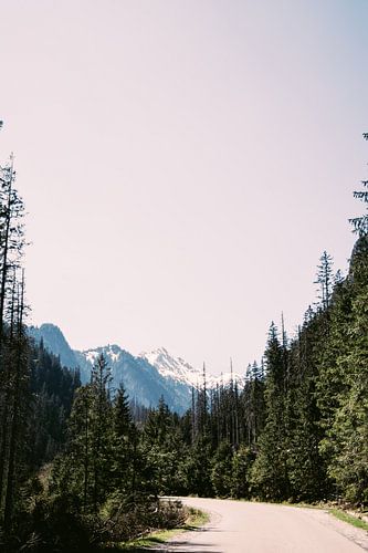 Weg zum verschneiten Berggipfel