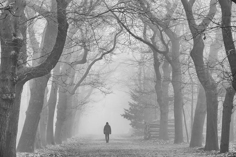 Wanderer im Wald von Peter Haastrecht, van