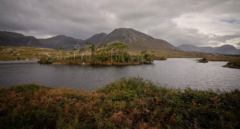 Pine Island, Connemara, Ireland van Bo Scheeringa Photography