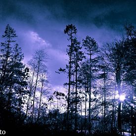 John Schouwink photo de profil