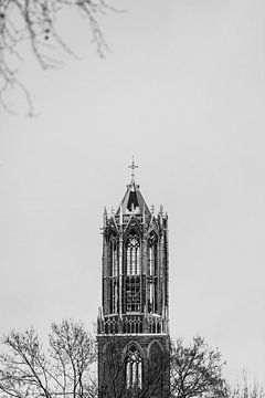 Utrecht's snow-covered Dom tower from Moreelsepark. (portrait, centre frame and black and white)