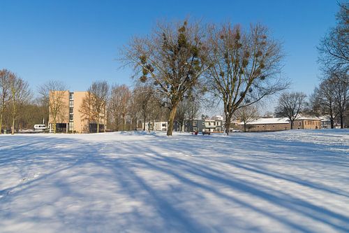 Meezenbroekerweg gezien vanuit het park in Meezenbroek te Heerlen
