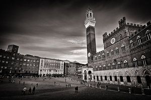 Sienne - Piazza del Campo (Toscane)