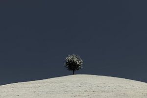 Minimalisme de Drumlin, Suisse