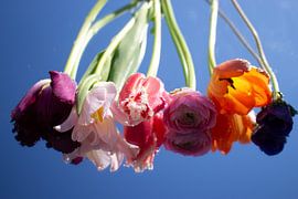 spring by Thea Mekkelholt