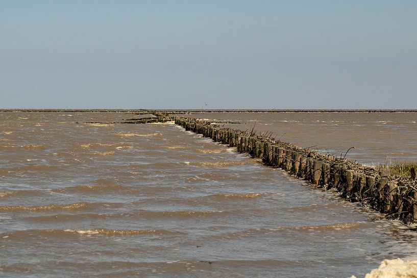 Waddenzee nabij Lauwersoog van Paul Veen