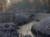 Bruggetje met rijp in landschap