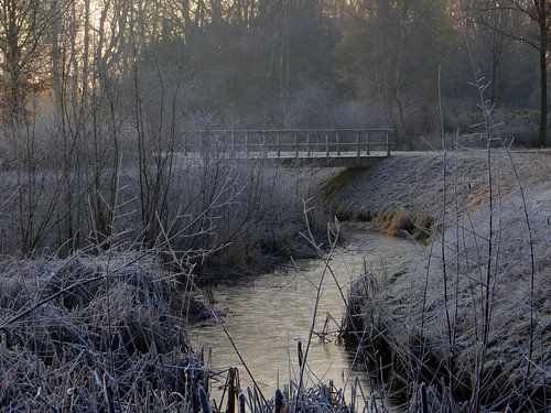 Bruggetje met rijp in landschap
