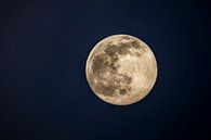 Volle maan in de donkere winternacht van Sjoerd van der Wal Fotografie thumbnail