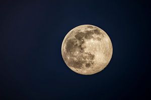 Full moon in the dark winter night