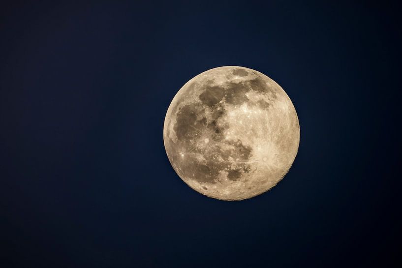 Volle maan in de donkere winternacht van Sjoerd van der Wal Fotografie