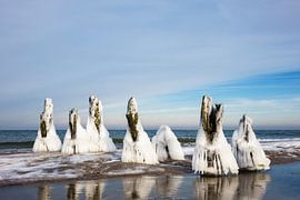 Winter an der Küste der Ostsee
