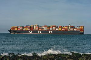 Das Containerschiff MSC Venice. von Jaap van den Berg