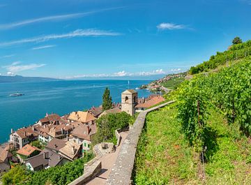 Wijngaarden aan het meer van Genève, St-Saphorin, Canton Vaud, Zwitserland van Rene van der Meer