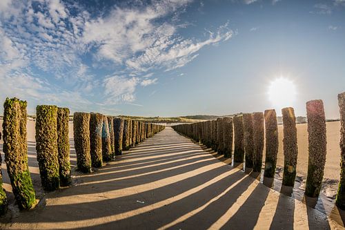 Palenrij op het strand van Westkapelle