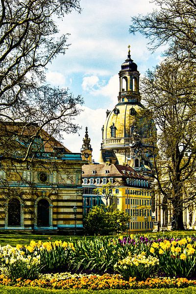 Frauenkirche Dresden von Max Steinwald