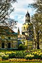 Frauenkirche Dresden von Max Steinwald Miniaturansicht