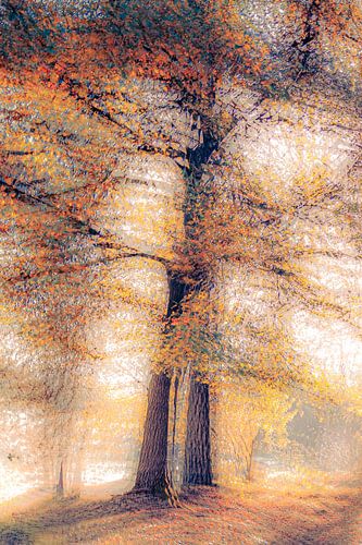 Stilvolle Bäume im Wald
