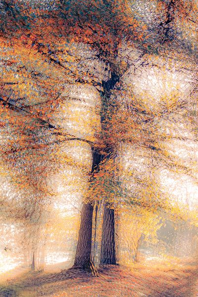 Stylish Trees in the Forest by Laura van der Burgt