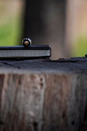 Das Gewicht von Wörtern von Bram de Water