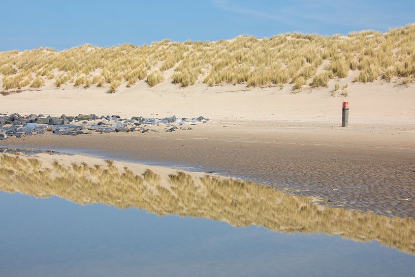 Nachdenken am Strand - Natürliches Ameland von Anja Brouwer Fotografie