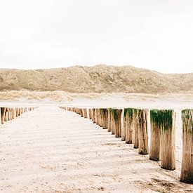 Zeeland Dünen von Djuli Bravenboer