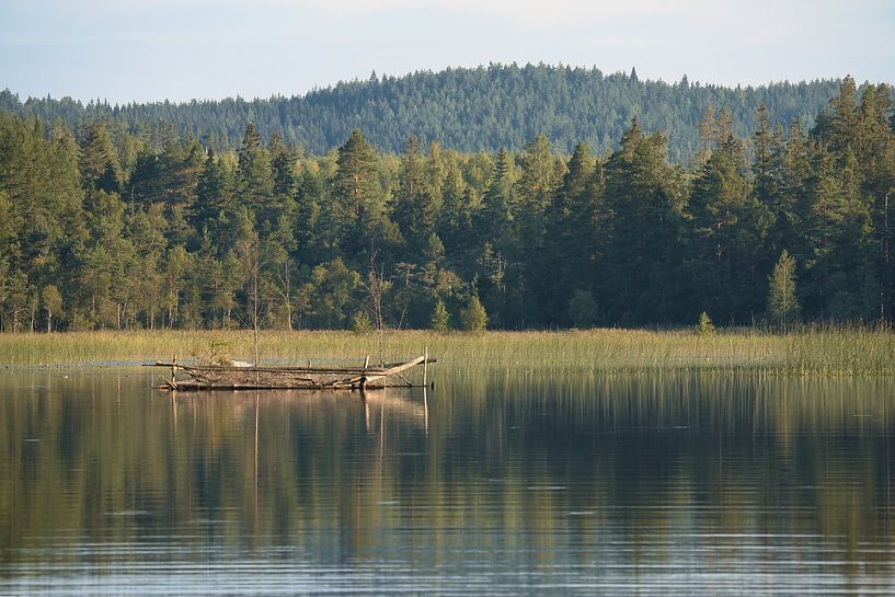 Lake in Sweden with white clouds, blue water and trees on the shore by Martin Köbsch