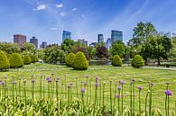 BOSTON Public Garden von Melanie Viola Miniaturansicht