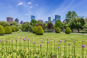 BOSTON Public Garden by Melanie Viola
