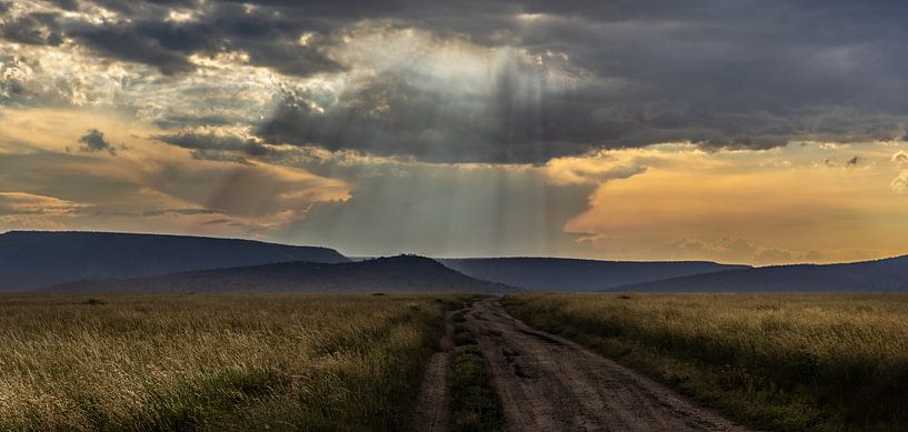 Zonsondergang Tanzania by Gonda van Wijk