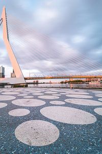 Refelcted Sunlight Rotterdam