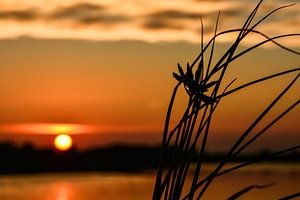 Holländischer Sonnenuntergang von Jaco Verheul