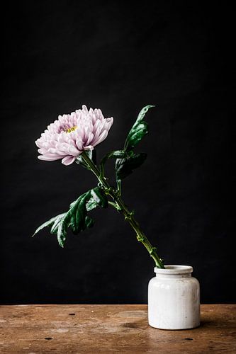 Fleur blanche dans un vase blanc