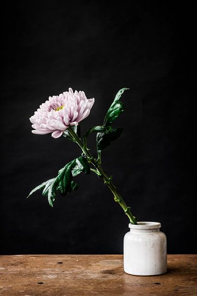 Foto print van witte bloem in witte vaas tegen een zwarte achtergrond van Jenneke Boeijink